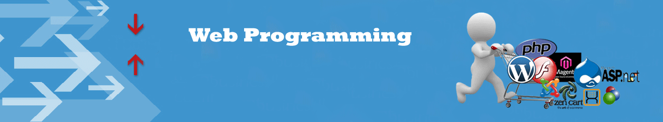 Web Programming